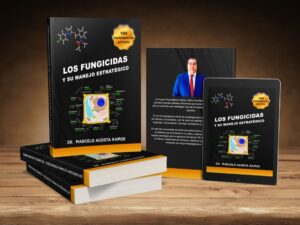 Libro y Curso IAS