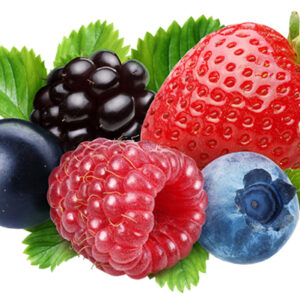Manejo Estratégico  y  Diagnóstico de Enfermedades Fungosas en Hortalizas, Berries y Frutales